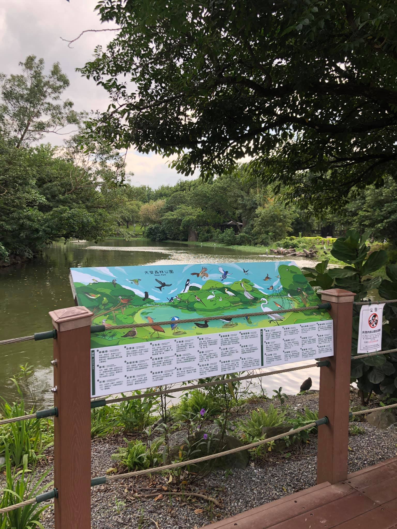 大安森林公園 野鳥告示牌 - 栐者 x 植物勇者