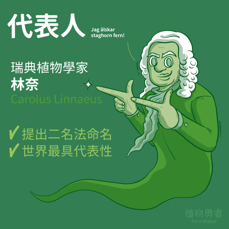 學名的書寫方式為二名法，由瑞典植物學家林奈（Carolus Linnaeus，1707-1778）所提出的最具代表性，通過國際植物學專門會議討論通過，為後人所推崇。

至於為什麼學名是使用拉丁語呢？因為林奈當初命名所使用的是拉丁文，後人皆沿用，所以國際植物學專門會也就沿襲這個傳統。

補充說明：
1.林奈不是第一位提出的人，且植物學名由國際藻類真菌與植物命名法規（ICN）
所制定及規範。
2.拉丁語就像漢語文言文一樣，不會因時代變遷改變其含義。