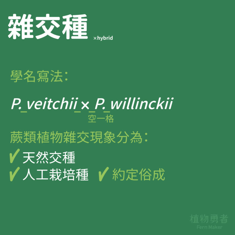 蕨類植物是植物界中的大族群，主要以孢子進行繁衍。
比起種子植物來說，雜交的現象更為常見，分為天然雜交與人工雜交種。

天然交種：
在野外由非人為因素(經由風、水、昆蟲傳導)，完成不同品種間的交配而產生的後代。

人工栽培種：
我們以人工方式將不同品種的鹿角蕨孢子進行交配，繁殖出來的後代，由原培育家命名並提出註冊登記。市面最常見的亞皇鹿角蕨P. kitshakoodiense 即為人工栽培種的代表
(正式寫法為P. x kitshakoodiense 即屬名後以字母x與原生種區分，現在多省略x書寫)。

約定俗成：
市面上的鹿角蕨種名，雖然沒有受國際登入認證，
不過在產地與大眾普遍使用下，衍生出許多品種名。
p.s.拿一開始所說的護照來說，有點像是台灣目前的處境呢（笑)

大家會很好奇，為什麼同為一樣的親本交種，會有不一樣的名字
（愛麗絲象耳有P. burirom 與P. ellisotis的分別）。

因為，同一親本組合的雜交種，除了有國際登入認證的交種外，是不能共用同一個名字的。
舉例來說，像是出自知名泰國培育家Tonkla之手的皮陳(Platycerium ’Pewchan‘)，其他銀鹿與爪哇的交種都不能使用Pewchan這個名字，銀哇鹿角蕨的雜交種學名寫法為：
P. veitchii x P. willinckii

補充說明：
1.本篇說明配合使用習慣，以字母 x 為主，中間要空一格，如 Platycerium x elemaria

2.正式寫法需用乘法 ⨯ 代表雜交符號，如 Platycerium ⨯ elemaria

3.國際認證的交種為以下四種，其他品種的交種嚴格上說，都是栽培名。

P. ⨯ mentelosii 曼特洛斯鹿角蕨
親本：P. stemaria ⨯ P. superbum

P. ⨯ elemaria 三角象鹿角蕨
親本：P. stemaria ⨯ P. elephantotis

P. ⨯ kitshakoodiense亞皇鹿角蕨
親本：P. ridleyi ⨯ P. coronarium

P. ⨯ siamease象爪鹿角蕨
親本：P. elephantotis ⨯ P. willinckii