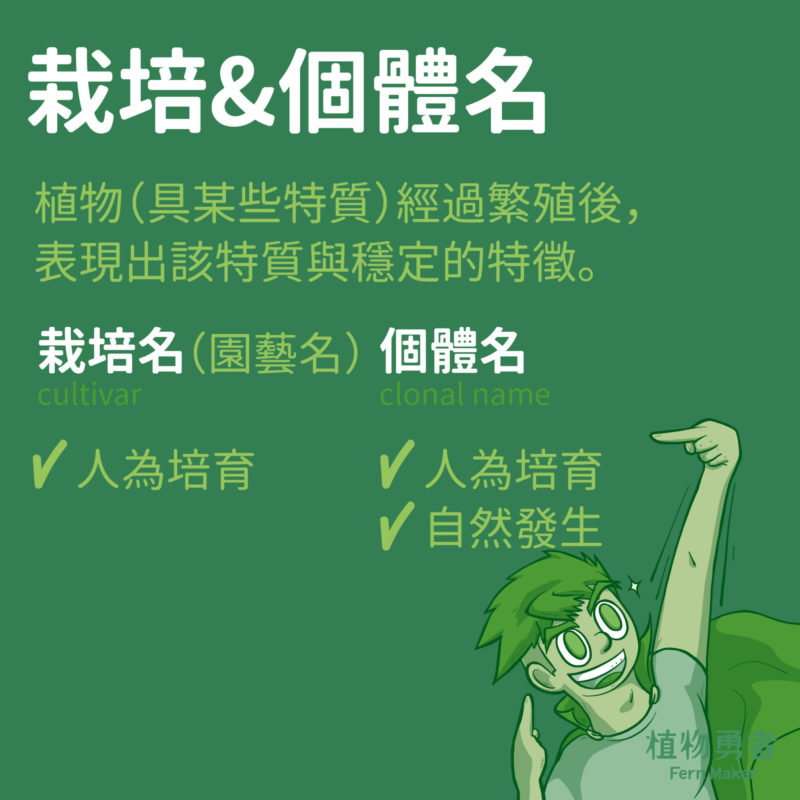 栽培名（園藝名）：
經人為選拔出具有某些特質的植物，這些植物經過繁殖後，其特性有清楚的區別及穩定的特徵。

個體名：
以人工育種，野外個體亦或是基因改造所表現具特殊性的名稱，可以是自然發生，也可經人為培育。