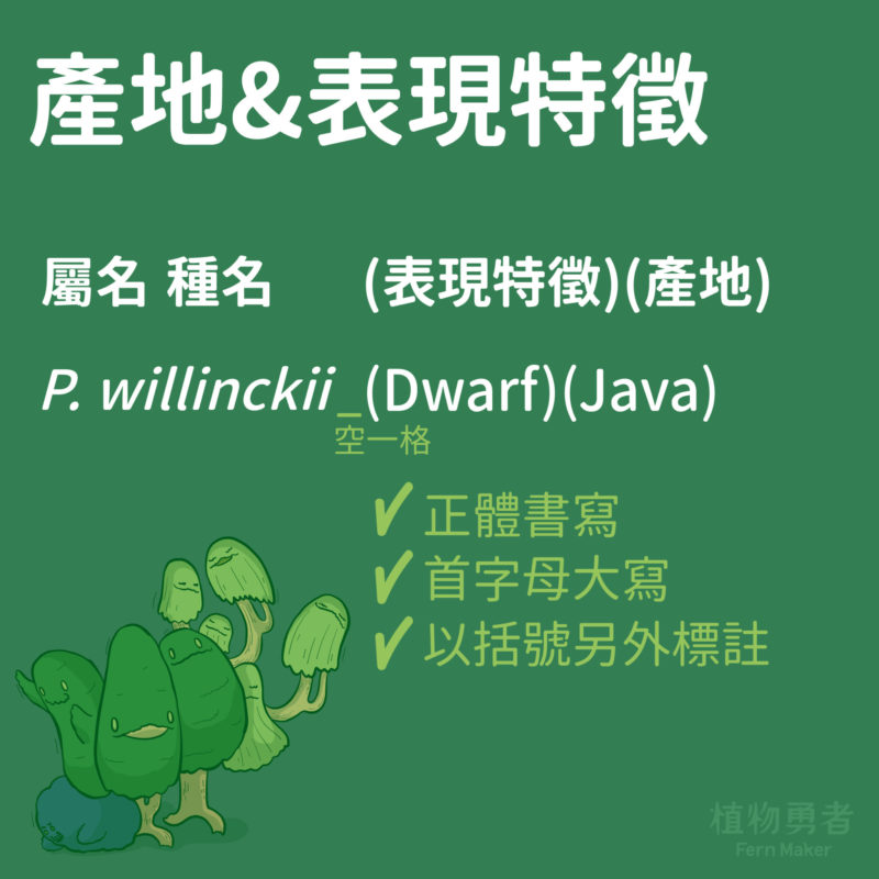 在種名後以括號另外標註，以正體首字母大寫書寫，括號與種名間需空格，括號內不空格。

P. willinckii (Dwarf)(Java)
屬名 種名 (表現特徵)(產地)

產地及表現特徵在學名標示上，常與栽培個體名用搞混，記得書寫時要注意。