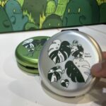 白斑龜背芋與背芋龜